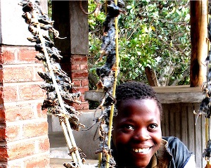 Boy selling Mice on a Stick